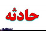 تیلر، جان کشاورز فردوسی را گرفت